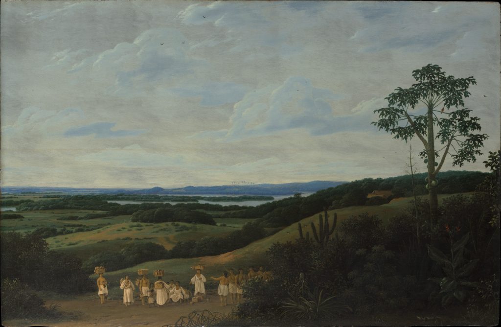 A Brazilian Landscape