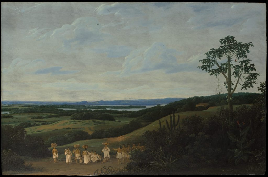 a-brazilian-landscape