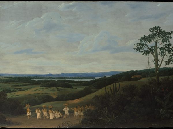 a-brazilian-landscape