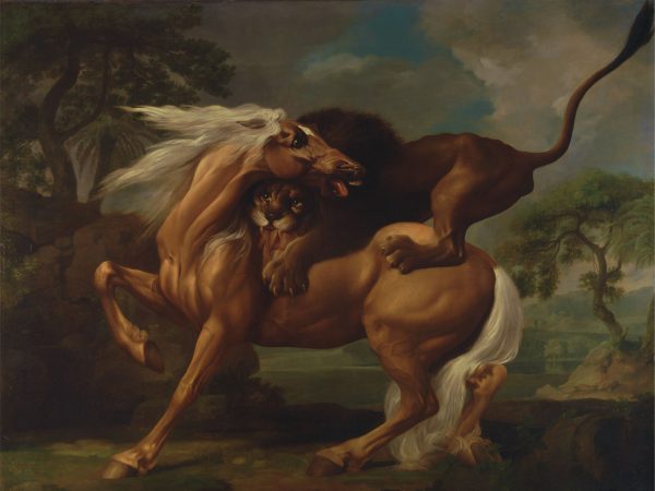 A Lion Attacking a Horse