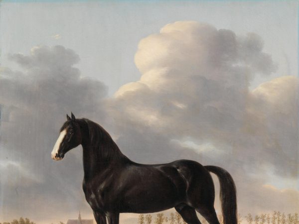 adriaan-van-der-hoop-s-trotter-de-vlugge-the-fast-one-in-a-meadow