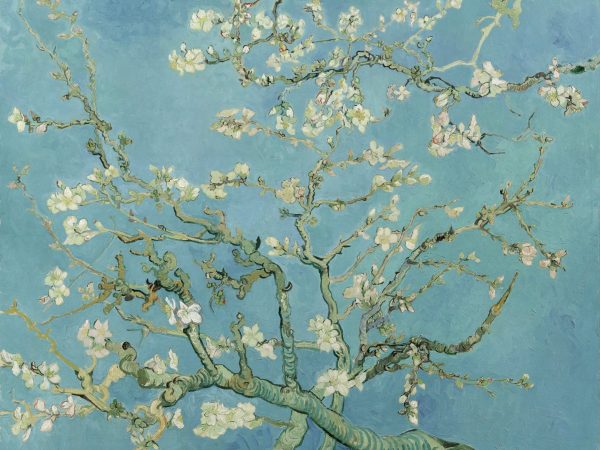 Almond Blossoms