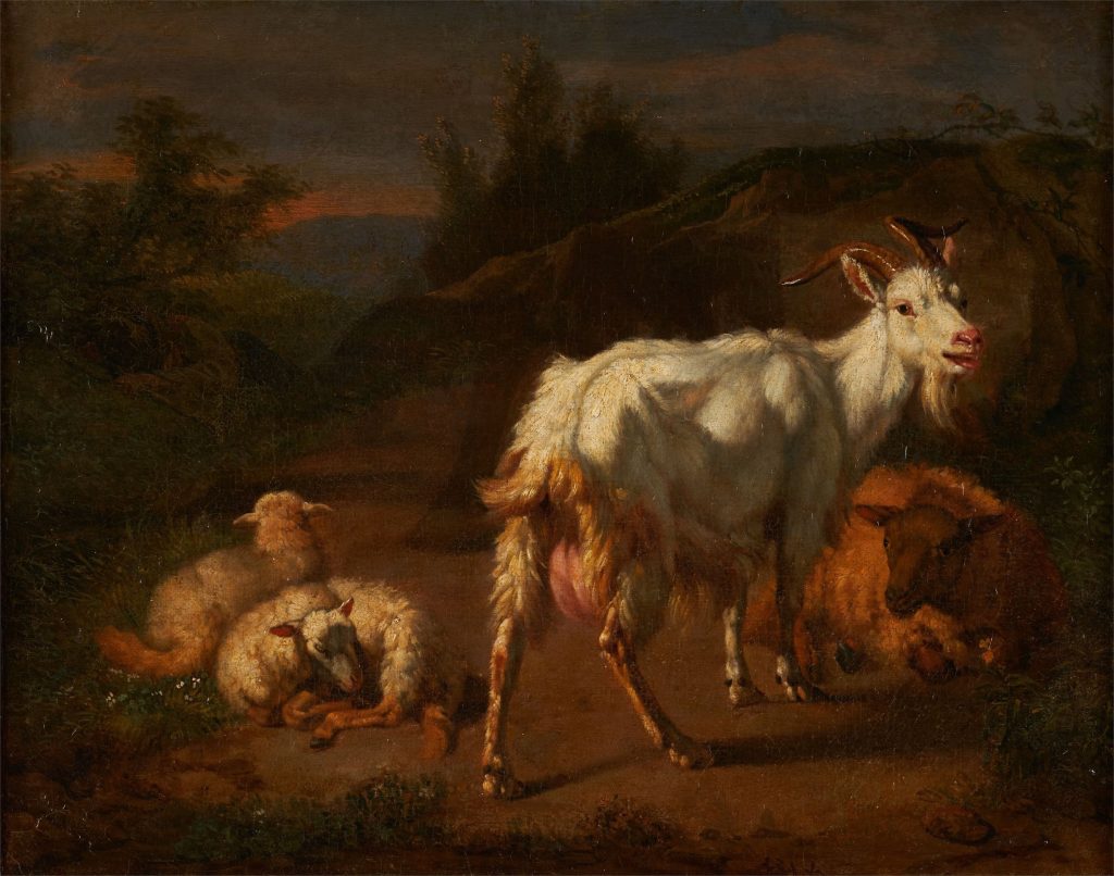 Animaux au pâturage