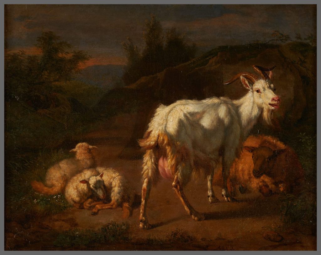 Animaux au pâturage