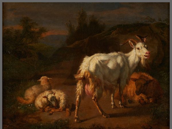 Animaux au pâturage