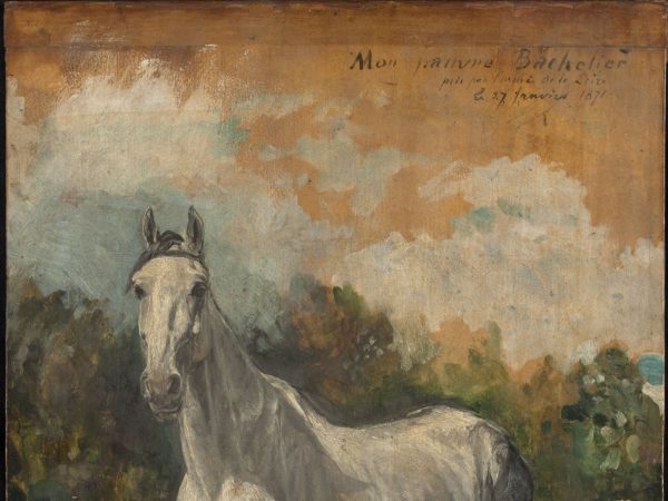 Bachelier, cheval de l'artiste