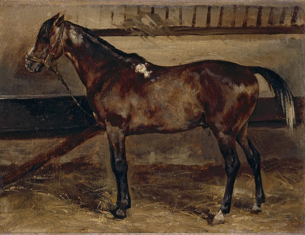 Cheval brun à l'écurie