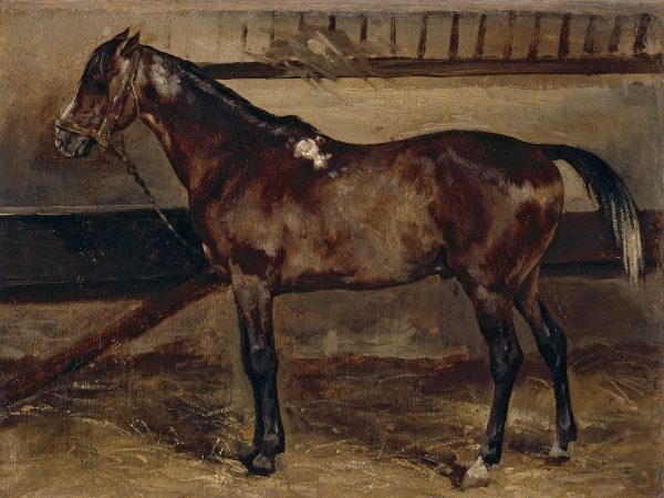 Cheval brun à l'écurie
