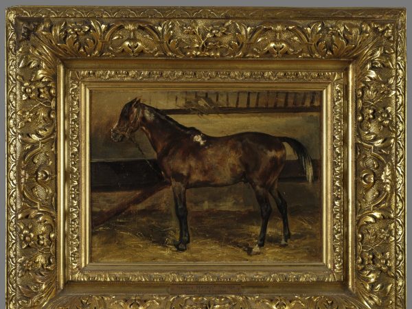 Cheval brun à l'écurie