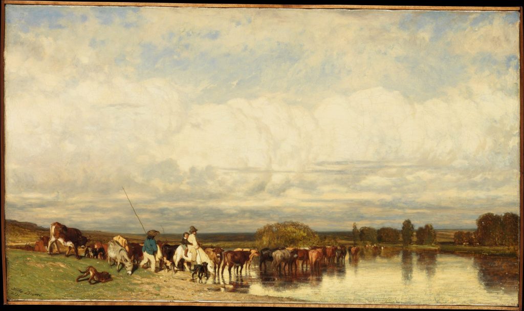 cows-crossing-a-ford