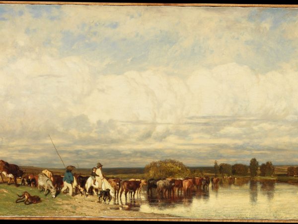 cows-crossing-a-ford