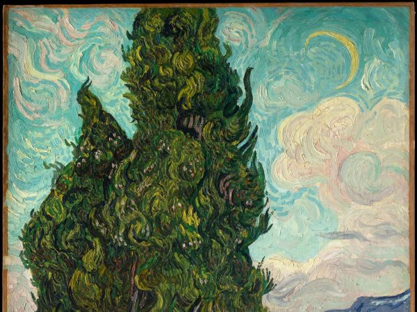 Cypresses