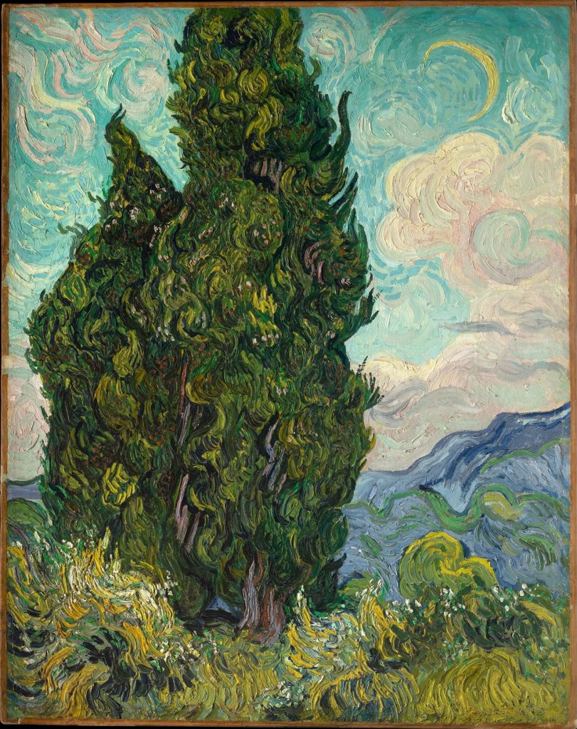 Cypresses