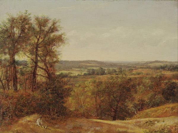 Dedham Vale