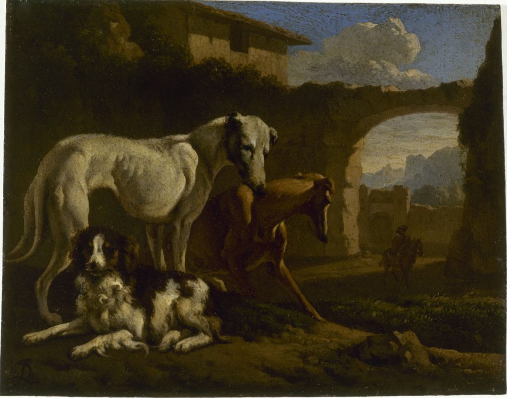 Epagneul et lévriers