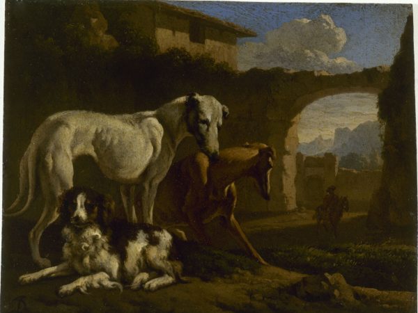 Epagneul et lévriers