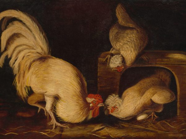 Farmyard Fowls