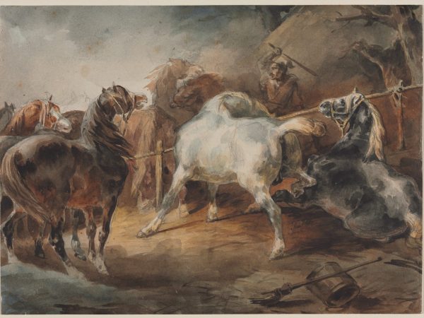 Fighting Horses