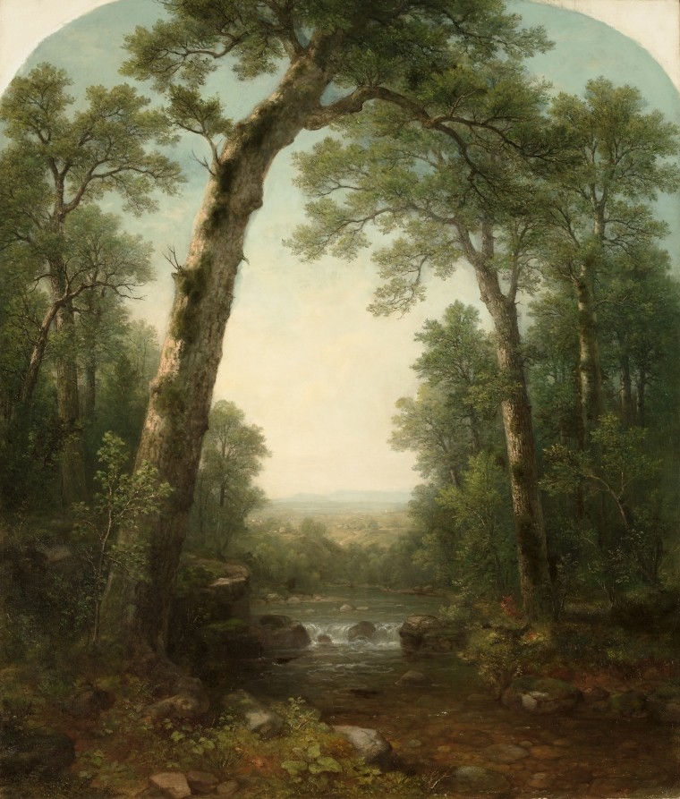 forest-stream-with-vista