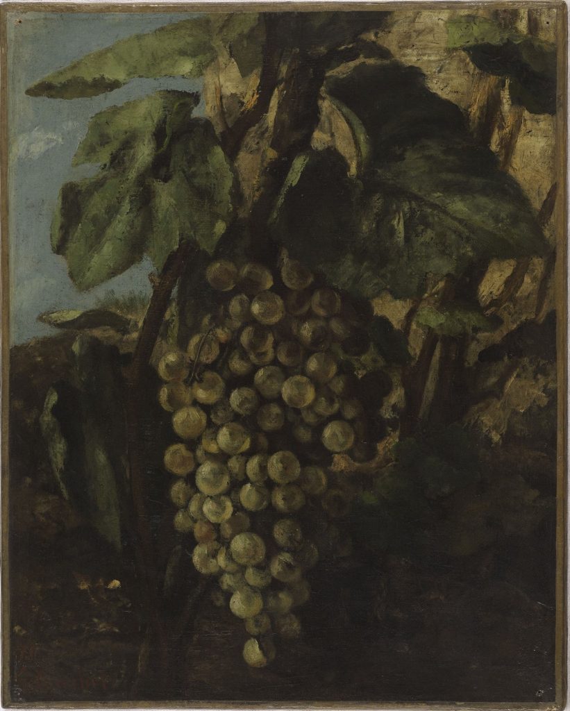 Grappe de raisins