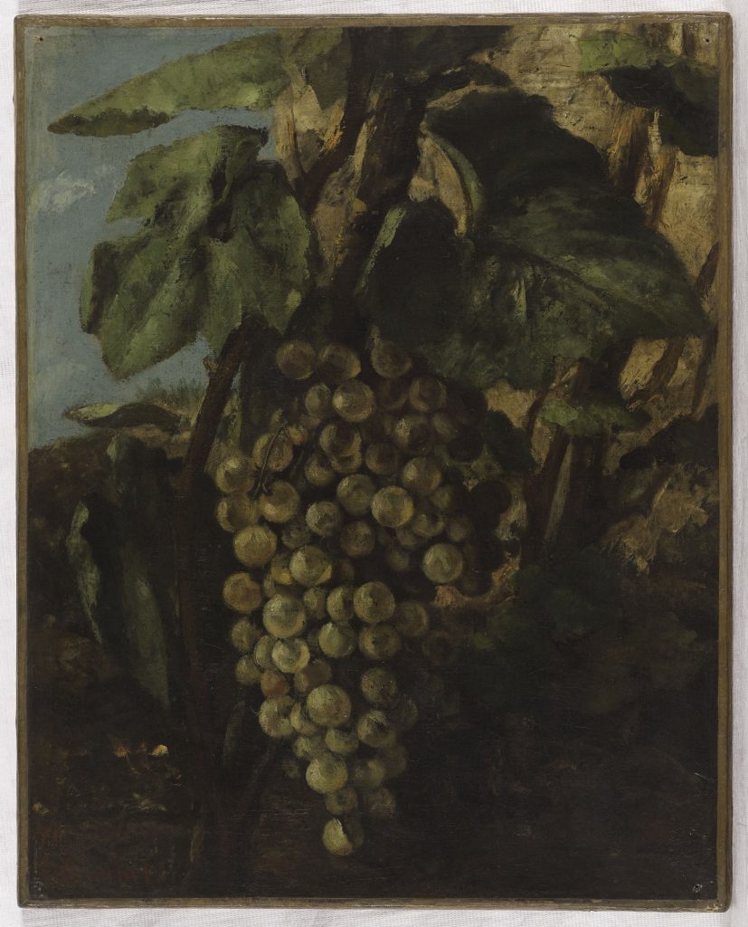 Grappe de raisins
