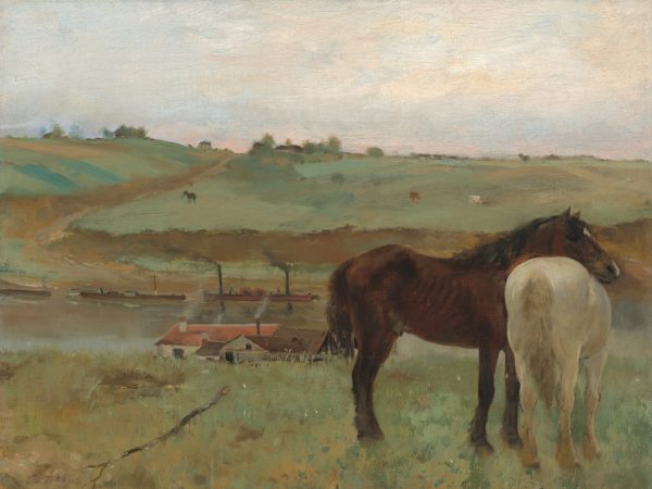 Horses in a Meadow