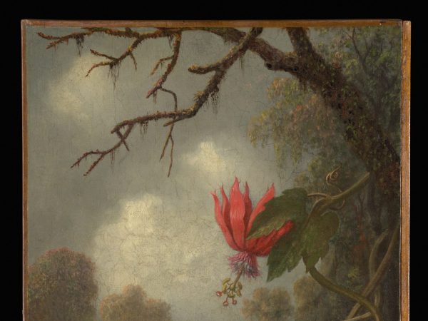 hummingbird-and-passionflowers