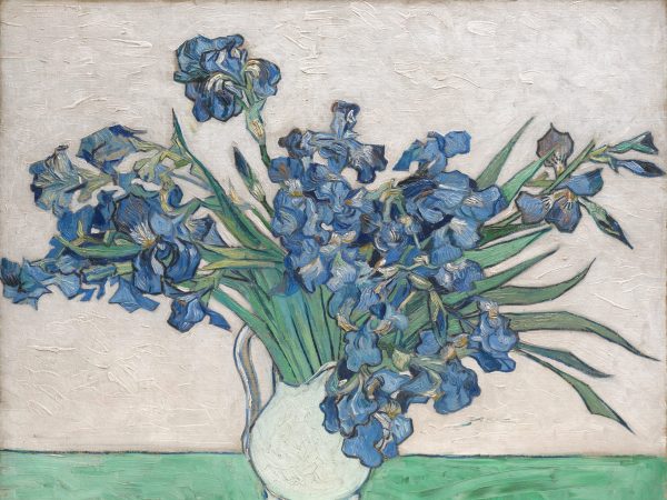 Irises