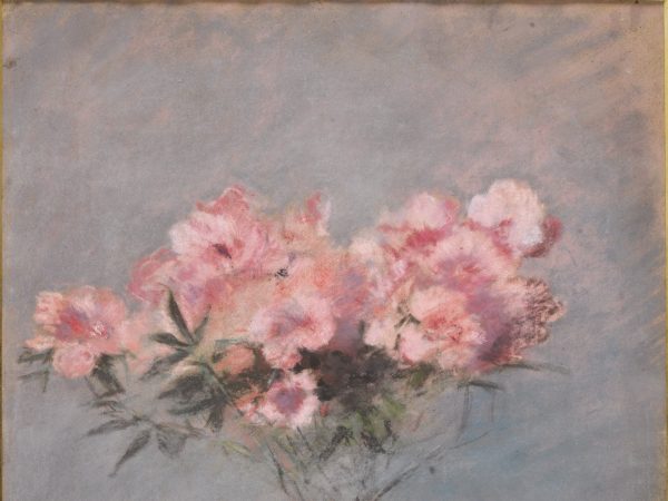 L'Azalée rose