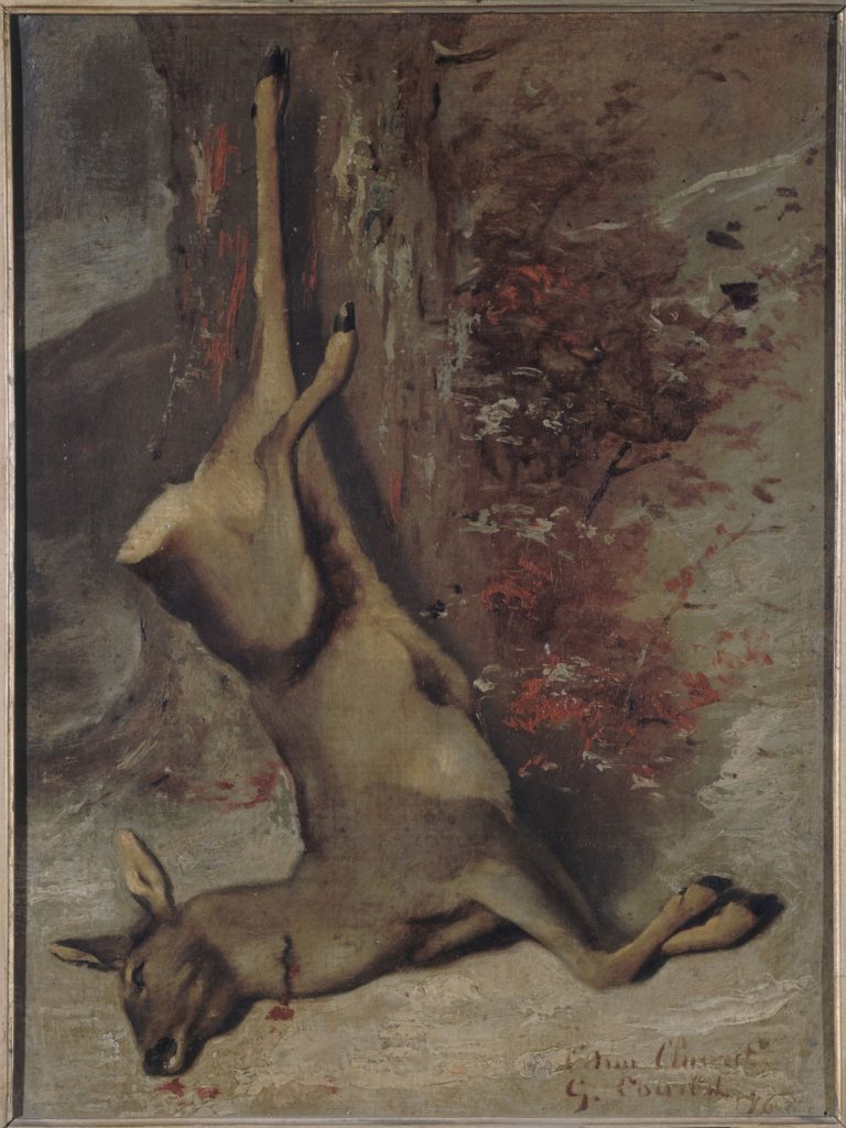 Le chevreuil