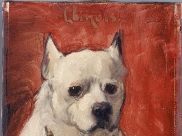 Le chien "chinois"