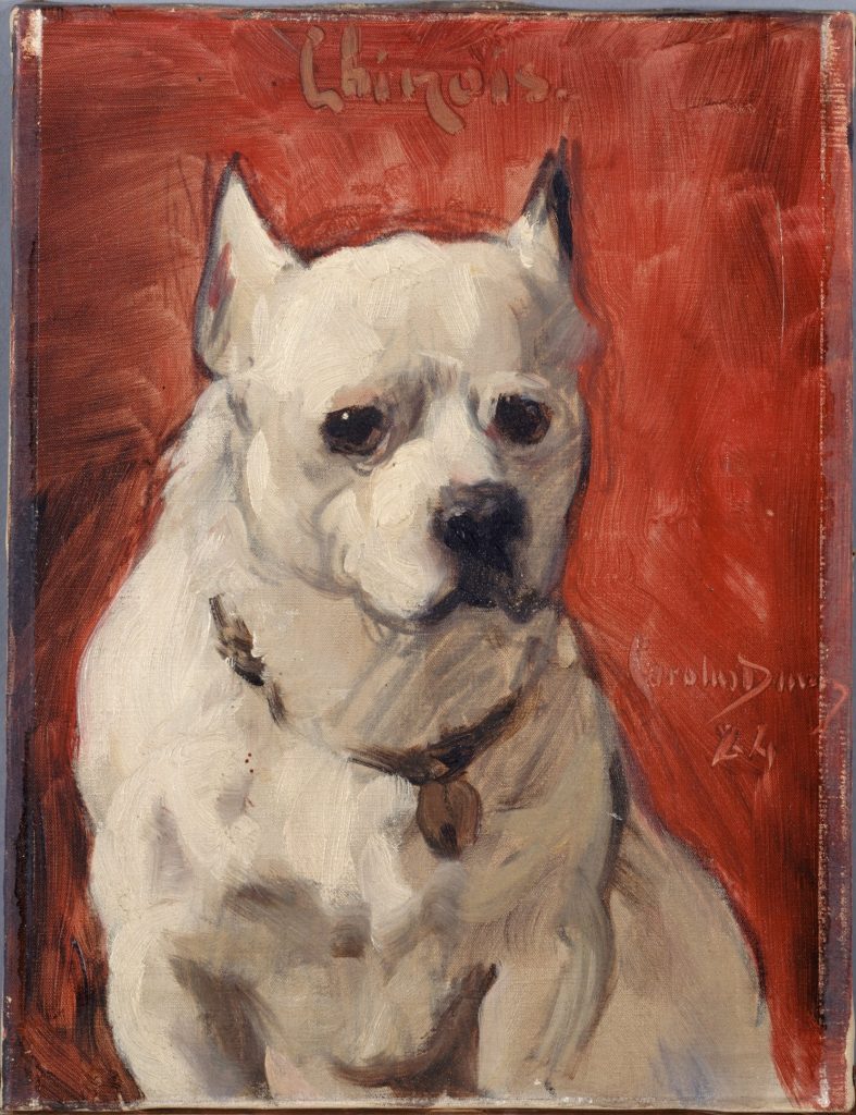 Le chien "chinois"