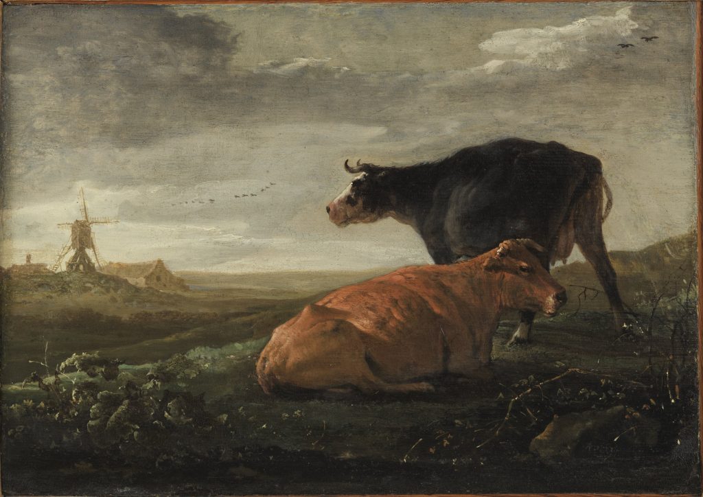 Pâturage avec deux vaches