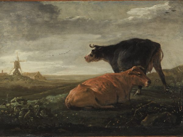 Pâturage avec deux vaches