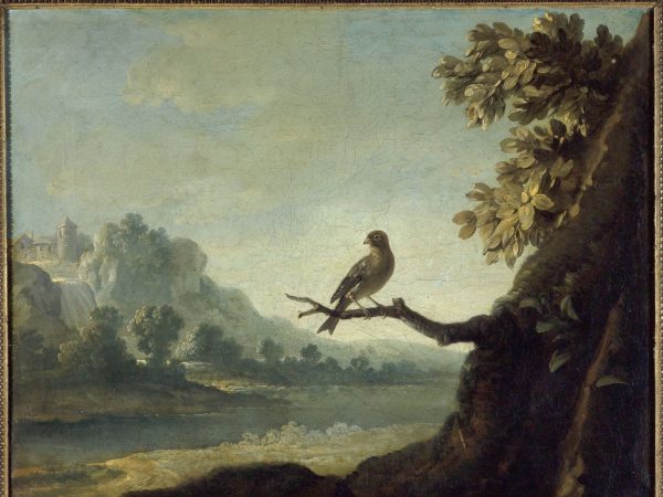 Paysage avec un oiseau