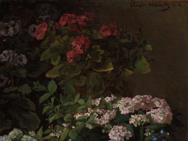 Spring Flowers