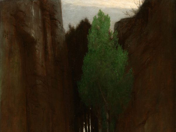 Spring in a Narrow Gorge