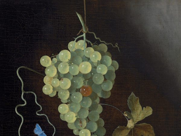 Still Life with a Hanging Bunch of Grapes, Two Medlars, and a Butterfly