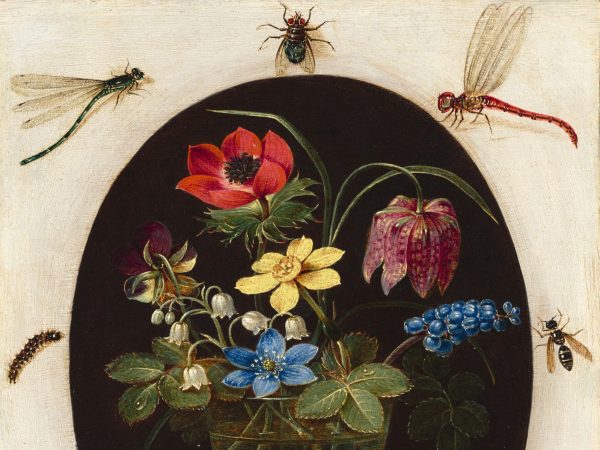 Still Life with Flowers Surrounded by Insects and a Snail