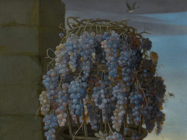 Still Life with Grapes and Other Fruit