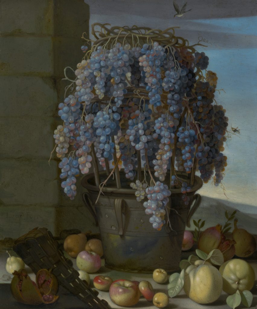 Still Life with Grapes and Other Fruit
