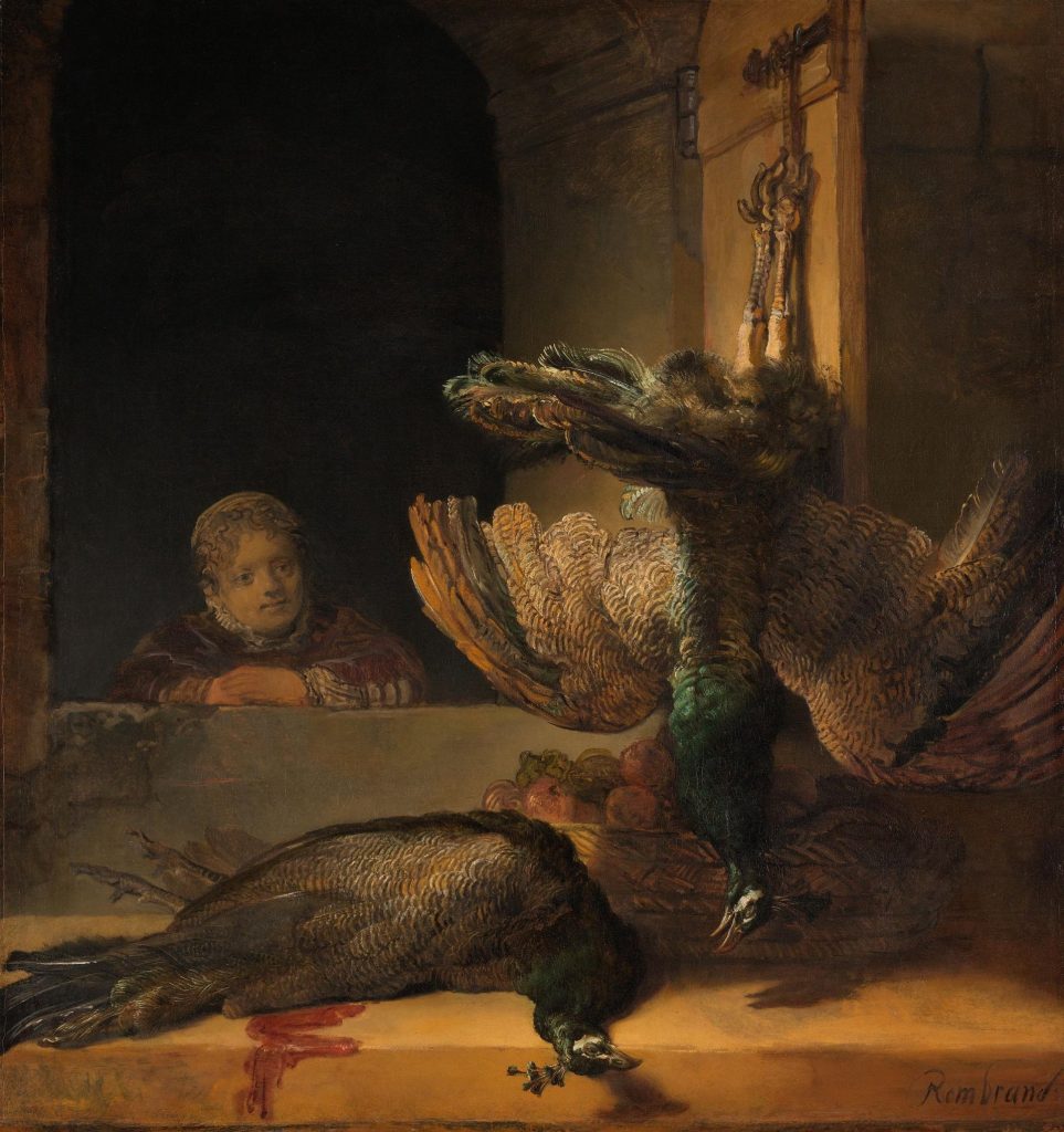still-life-with-peacocks
