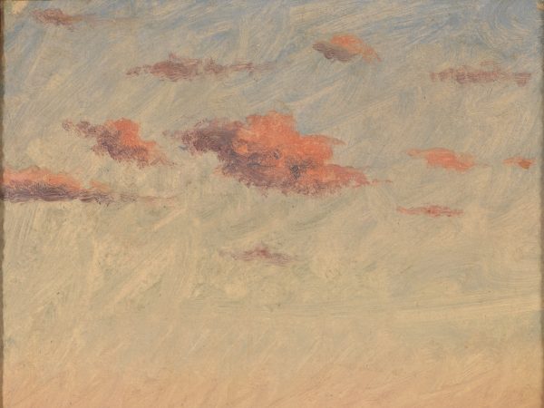 Studie fra Limfjorden