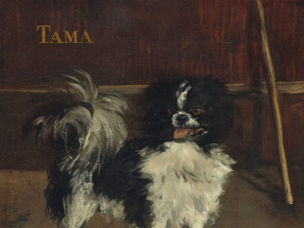 Tama, the Japanese Dog