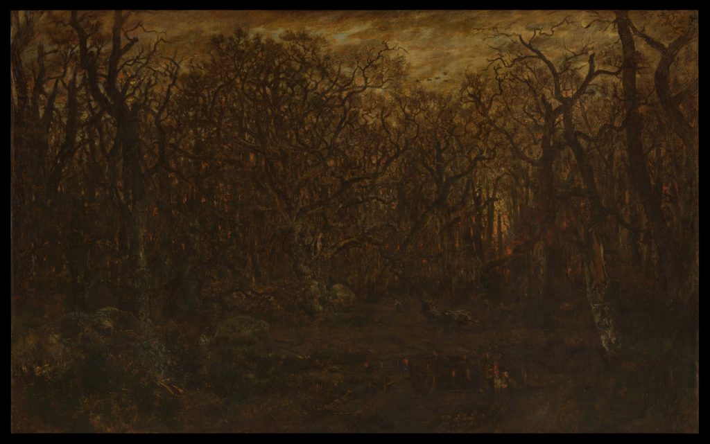 the-forest-in-winter-at-sunset