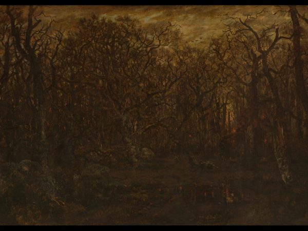 the-forest-in-winter-at-sunset