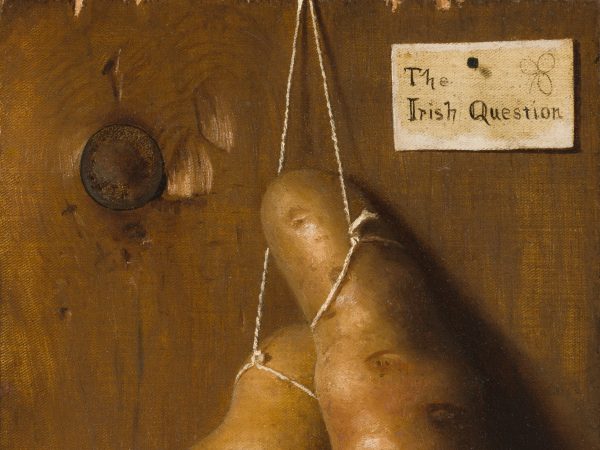 The Irish Question