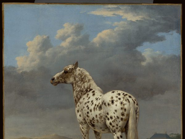 The "Piebald" Horse