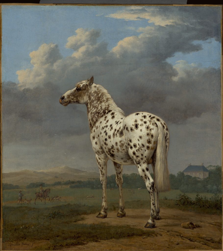 The "Piebald" Horse