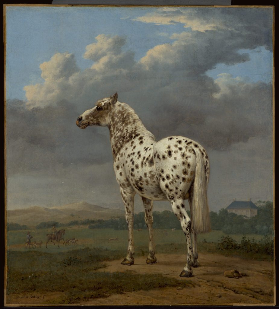 The "Piebald" Horse